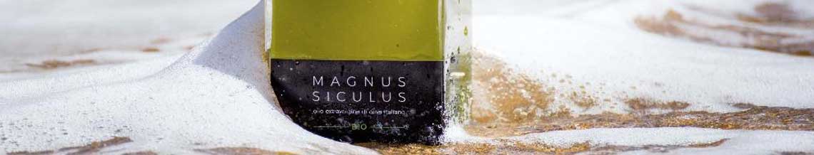 Magnus Siculus