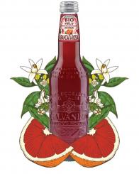 Arancia Rossa Galvanina 355ml 